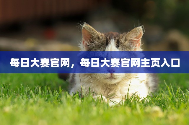 每日大赛官网，每日大赛官网主页入口