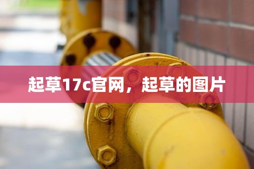 起草17c官网，起草的图片
