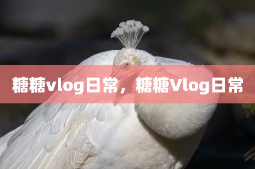 糖糖vlog日常，糖糖Vlog日常