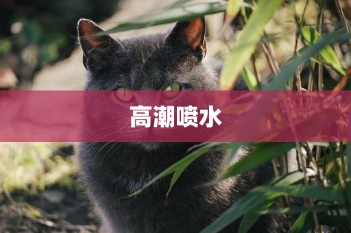 高潮喷水