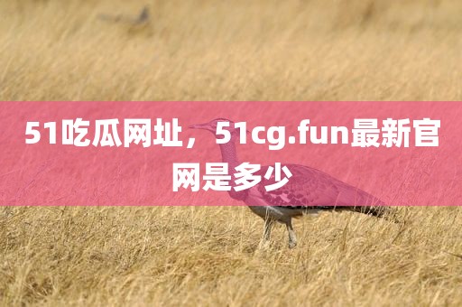 51吃瓜网址，51cg.fun最新官网是多少