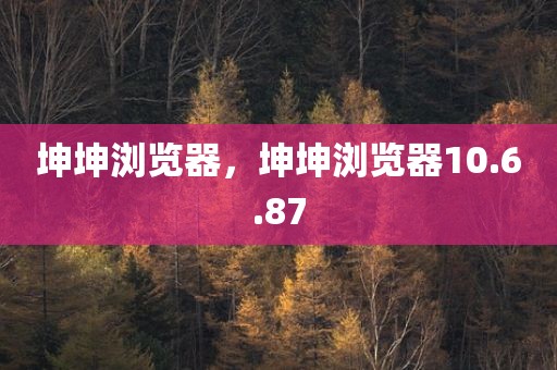 坤坤浏览器，坤坤浏览器10.6.87