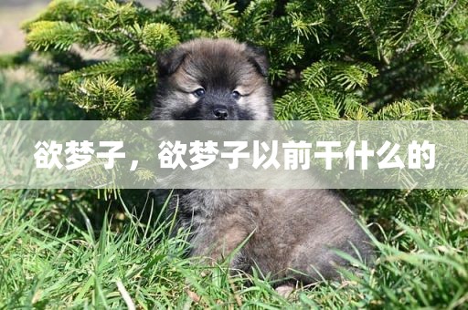欲梦子，欲梦子以前干什么的