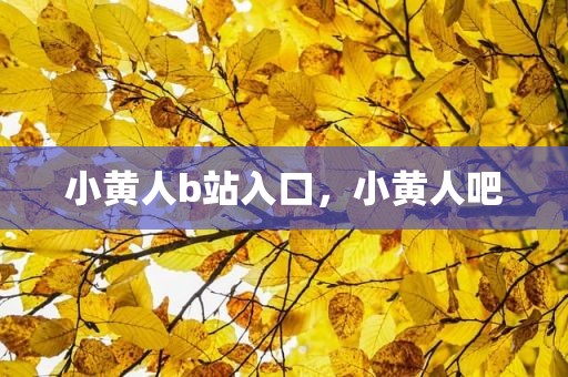 小黄人b站入口，小黄人吧
