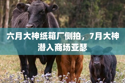 六月大神纸箱厂侧拍，7月大神潜入商场亚瑟