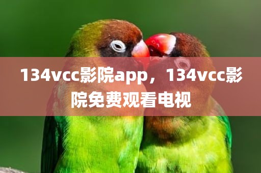 134vcc影院app，134vcc影院免费观看电视