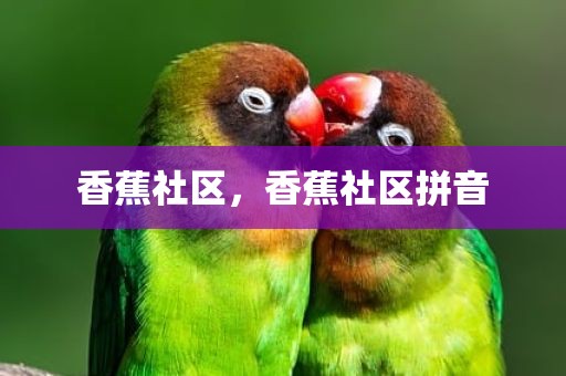 香蕉社区，香蕉社区拼音
