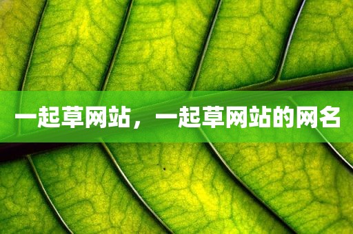 一起草网站，一起草网站的网名