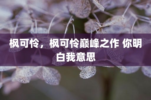 枫可怜，枫可怜巅峰之作 你明白我意思