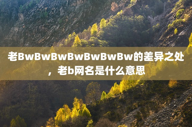 老BwBwBwBwBwBwBw的差异之处，老b网名是什么意思