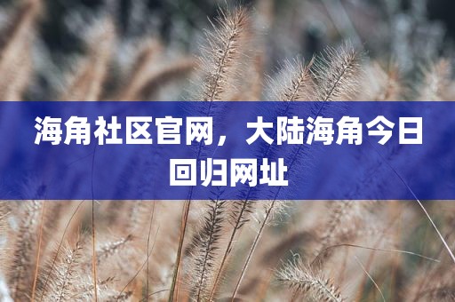 海角社区官网，大陆海角今日回归网址