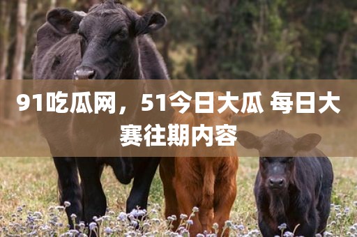 91吃瓜网，51今日大瓜 每日大赛往期内容