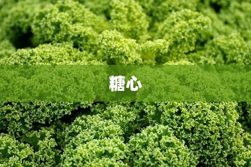 糖心