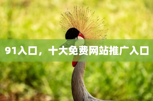 91入口，十大免费网站推广入口