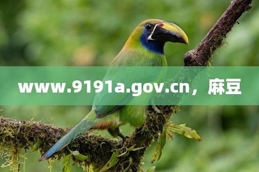 www.9191a.gov.cn，麻豆