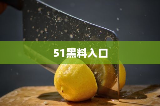 51黑料入口