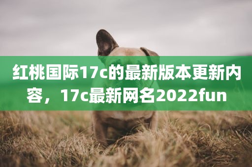 红桃国际17c的最新版本更新内容，17c最新网名2022fun