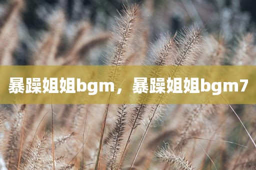 暴躁姐姐bgm，暴躁姐姐bgm7