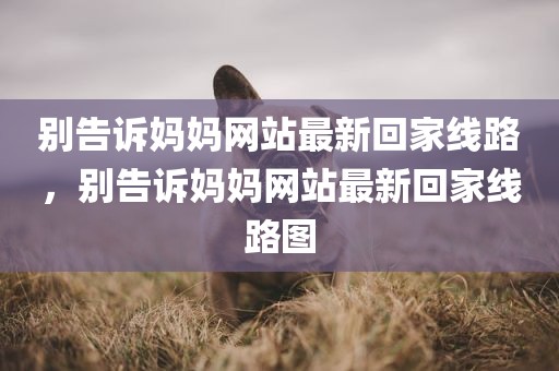 别告诉妈妈网站最新回家线路，别告诉妈妈网站最新回家线路图