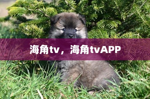 海角tv，海角tvAPP