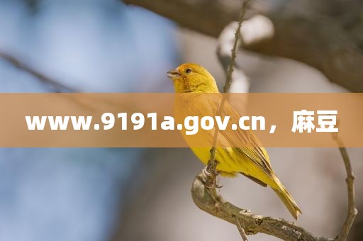 www.9191a.gov.cn，麻豆