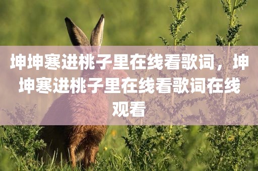 坤坤寒进桃子里在线看歌词，坤坤寒进桃子里在线看歌词在线观看