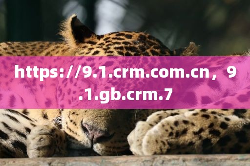 https://9.1.crm.com.cn，9.1.gb.crm.7