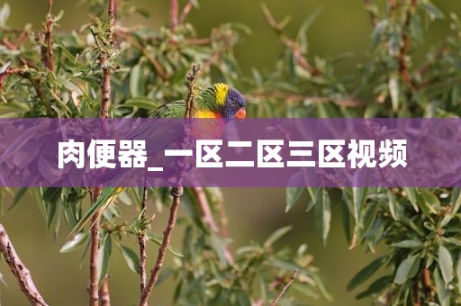 肉便器_一区二区三区视频