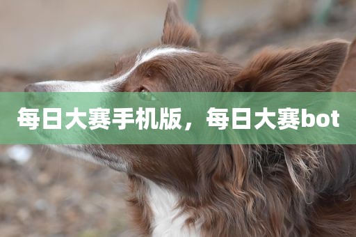 每日大赛手机版，每日大赛bot