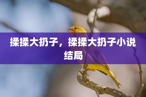 揉揉大扔子，揉揉大扔子小说结局