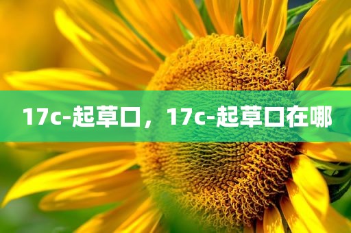 17c-起草口，17c-起草口在哪