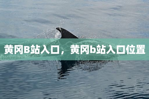 黄冈B站入口，黄冈b站入口位置