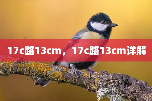 17c路13cm，17c路13cm详解