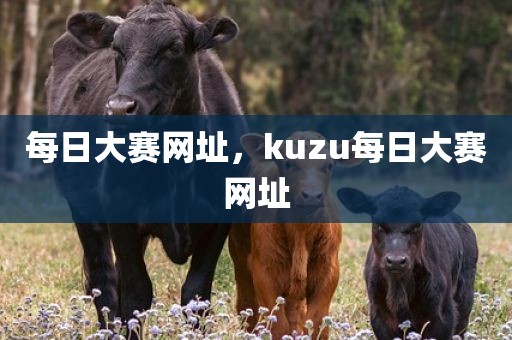 每日大赛网址，kuzu每日大赛网址