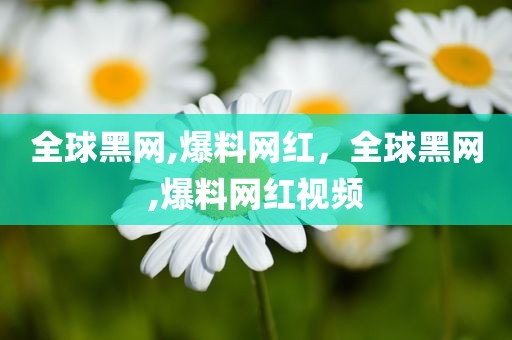 全球黑网,爆料网红，全球黑网,爆料网红视频