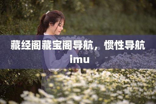藏经阁藏宝阁导航，惯性导航 imu