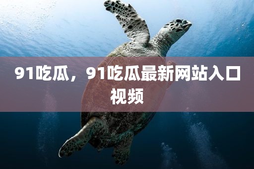 91吃瓜，91吃瓜最新网站入口视频