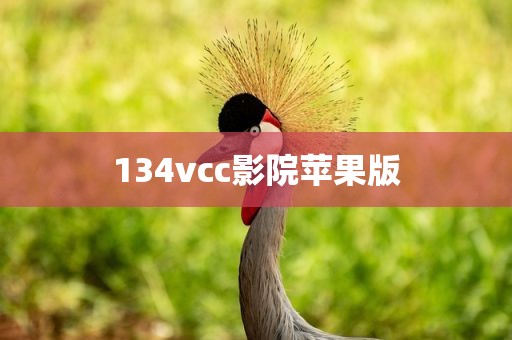 134vcc影院苹果版