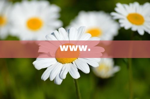 www.