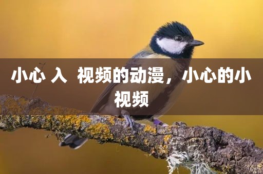 小心 入  视频的动漫，小心的小视频