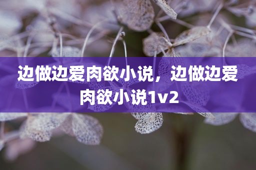 边做边爱肉欲小说，边做边爱肉欲小说1v2