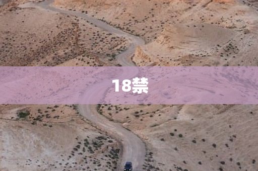 18禁