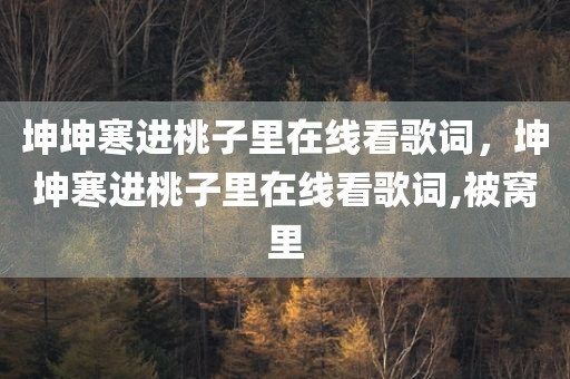 坤坤寒进桃子里在线看歌词，坤坤寒进桃子里在线看歌词,被窝里