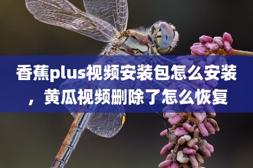 香蕉plus视频安装包怎么安装，黄瓜视频删除了怎么恢复