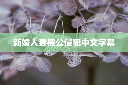 新婚人妻被公侵犯中文字幕