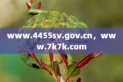 www.4455sv.gov.cn，www.7k7k.com