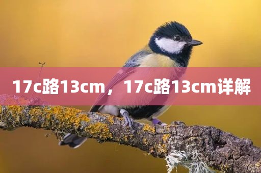 17c路13cm，17c路13cm详解