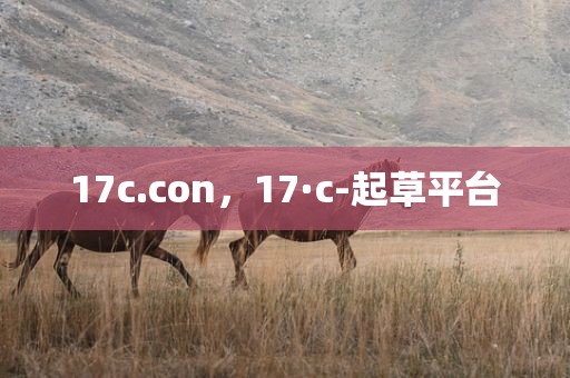 17c.con，17·c-起草平台
