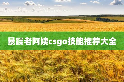 暴躁老阿姨csgo技能推荐大全