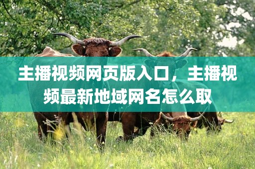 主播视频网页版入口，主播视频最新地域网名怎么取